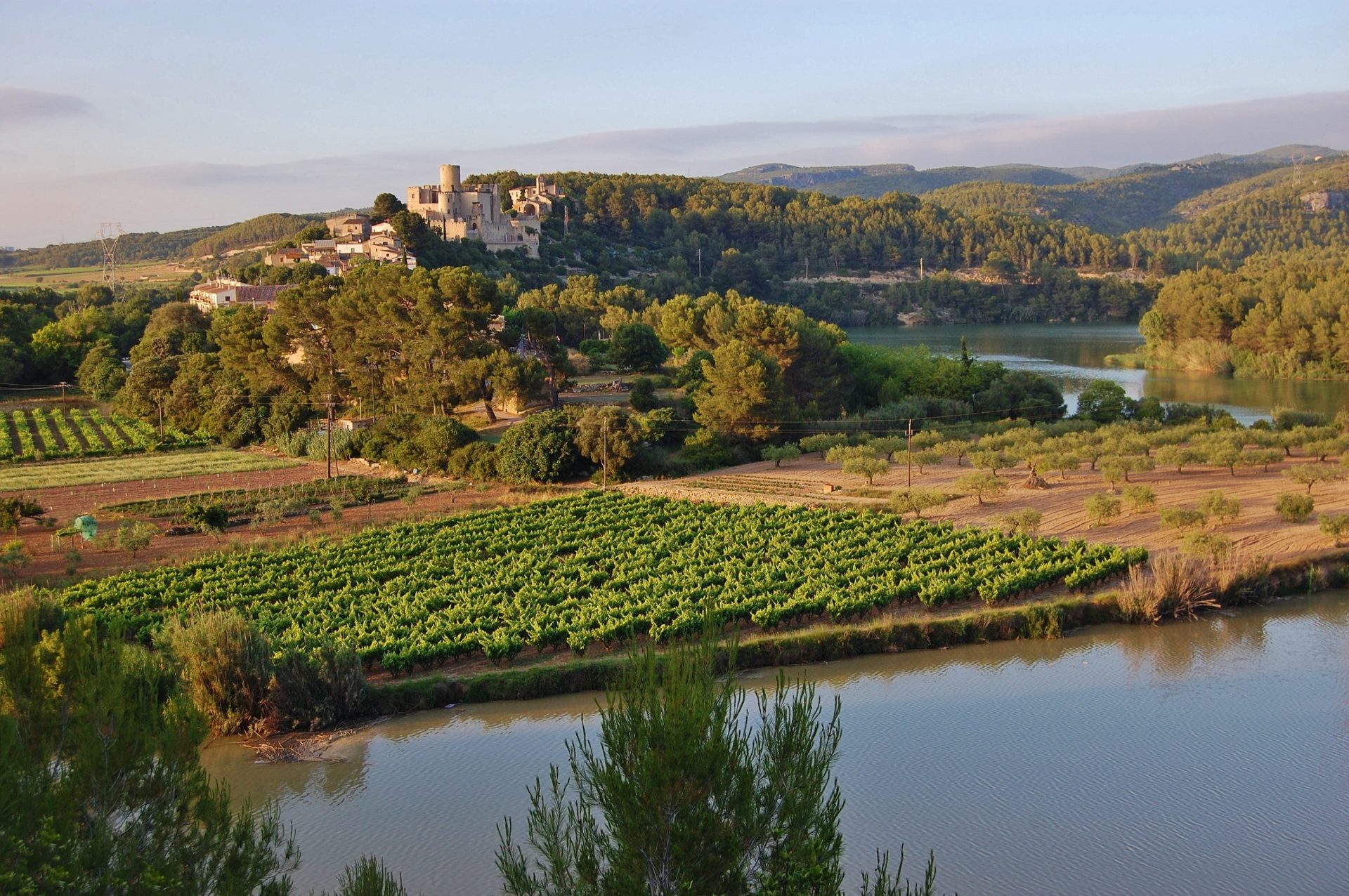 Castell de Castellet y el pantano de Foix, paisaje de Castellet i la Gornal